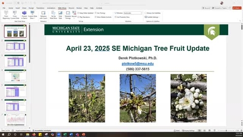 Thumbnail for April 23, 2025 MSUE Tree Fruit IPM Update for Southeast Michigan