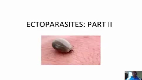 Thumbnail for entry HM863EctoparasitesPart2