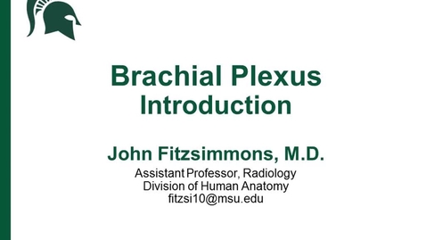 Thumbnail for entry ANTR510 (019) Intro to the Brachial Plexus