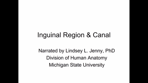 Thumbnail for entry ANTR510 (018) Inguinal Region and Inguinal Canal