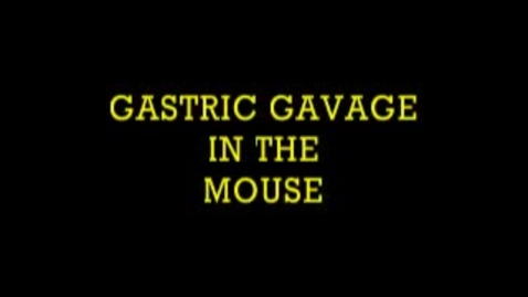 Thumbnail for entry Gastric Gavage in the Mouse