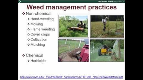 Thumbnail for entry Orchard weed management and practices impacting beneficial and pest insects