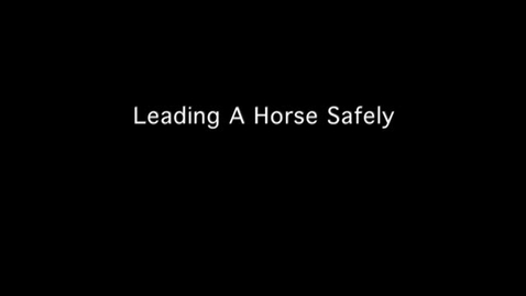 Thumbnail for entry VM 515-Leading a Horse
