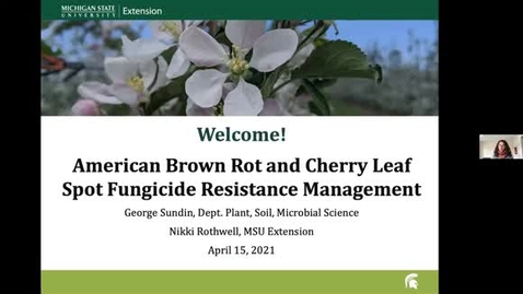 Thumbnail for American Brown Rot and Cherry Leaf Spot Fungicide Resistance Management