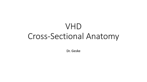Thumbnail for entry VHD Cross Sectional Anatomy