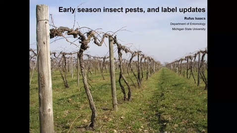 Thumbnail for entry Grape Kickoff 2020 - Early season insect pests and label updates