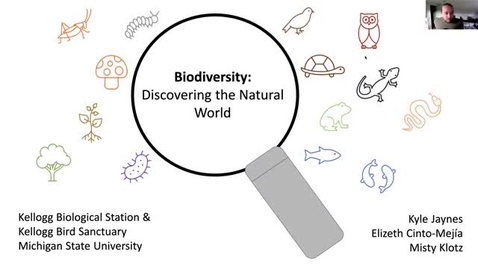 Thumbnail for entry Biodiversity: Discovering the Natural World ONLINE series - Amphibians/Reptiles