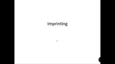 Thumbnail for entry Imprinting 2024