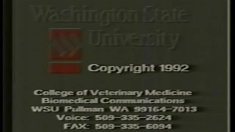Thumbnail for entry WSU-CVM-Feline Castration
