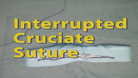 Thumbnail for entry Interrupted Cruciate Suture