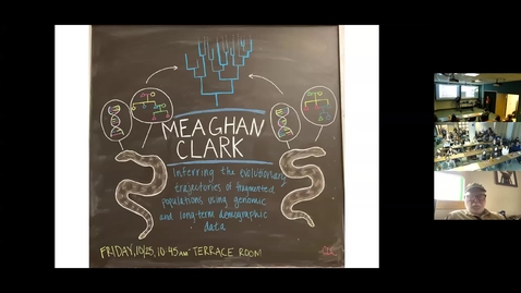 Thumbnail for Meaghan Clark Defense Seminar -  Inferring the evolutionary trajectories of wild, fragmented populations using genomic and long-term demographic data