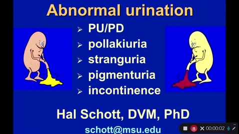Thumbnail for entry VM 568-Urinary System 2 - prep material 2 for Day 13