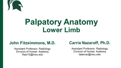 Thumbnail for entry Palpatory anatomy of the Lower Limb