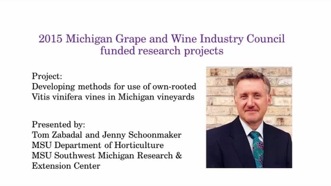 Thumbnail for entry Developing methods for use of own-rooted Vitis vinifera vines in Michigan vineyards by Tom Zabadal