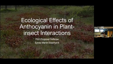 Thumbnail for entry Sylvie Martin-Eberhardt - PhD proposal defense seminar - Ecological Effects of Anthocyanin in Plant-insect Interactions