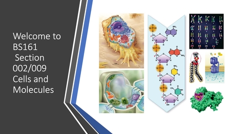 Thumbnail for BS161 Section 2_9 Welcome
