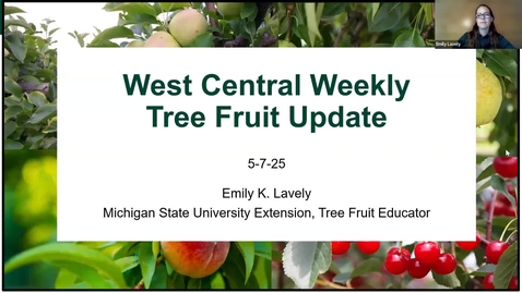 Thumbnail for West Central Tree Fruit IPM Update _ May 7, 2025