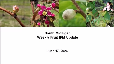 Thumbnail for SouthMichiganFruitIPMUpdate06172024