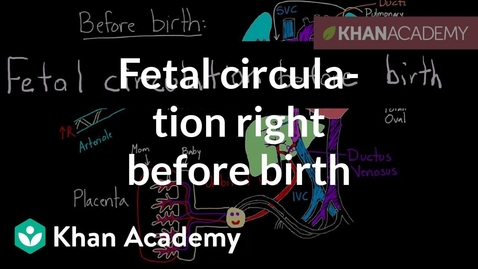 Thumbnail for entry Fetal circulation right before birth | Circulatory system physiology | NCLEX-RN | Khan Academy