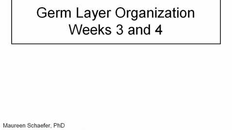 Thumbnail for entry ANTR510 (005) Early Embryology: Germ Layer Organization