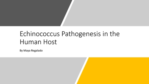 Thumbnail for Echinococcus Path in the Human Host