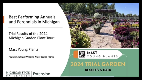 Thumbnail for Best Performing Plants at the 2024 Mast Young Plants Trial Garden: Michigan Garden Plant Tour