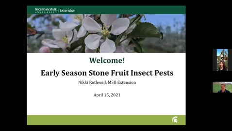 Thumbnail for entry Early Stone Fruit Insect Pests 2021