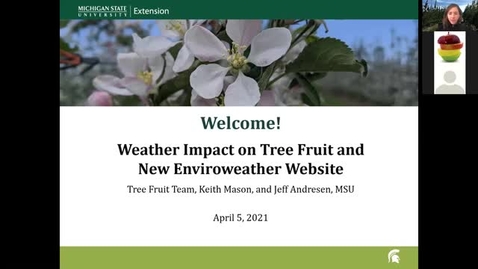 Thumbnail for entry Weather Impact on Tree Fruit and New Enviroweather Website