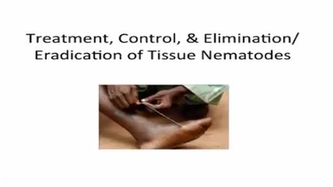 Thumbnail for HM887tissuenematodes