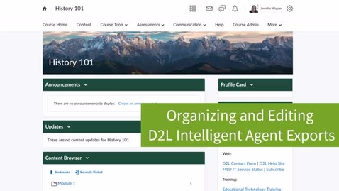 Thumbnail for entry Organizing and Editing D2L Intelligent Agent Exports in Excel