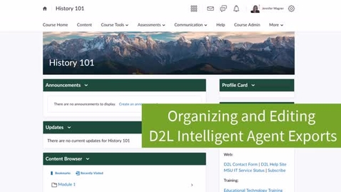 Thumbnail for Organizing and Editing D2L Intelligent Agent Exports in Excel