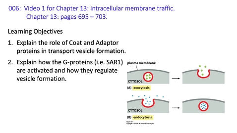 Thumbnail for entry 007 Video 1 Membrane Traffic