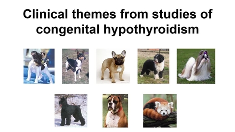 Thumbnail for entry PDI 634-Clinical themes from studies of congenital hypothyroidism