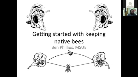 Thumbnail for entry Native bees for pollination  