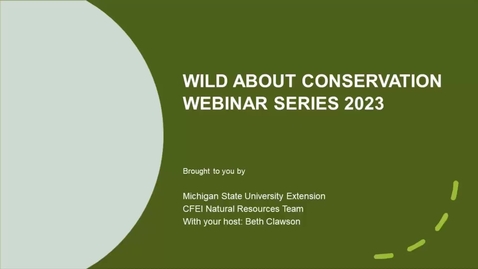 Thumbnail for Bird Research and Conservation in Michigan
