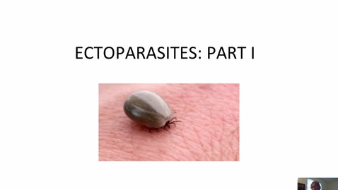 Thumbnail for entry HM-863-Module-Five-Lecture-Ectoparasites-Part-I