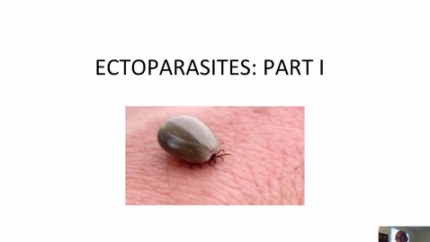 Thumbnail for HM-863-Module-Five-Lecture-Ectoparasites-Part-I