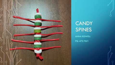 Thumbnail for PSL 475L Honors Option - Candy Spines