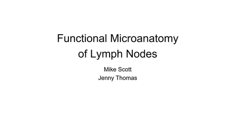 Thumbnail for entry VM 523-Functional Microanatomy of Lymph Nodes