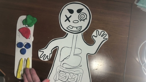 Thumbnail for The Human Bodies-Morgan Lynch