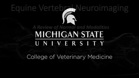 Thumbnail for entry VM 571-Equine Vertebral Neuroimaging  1