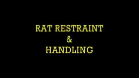 Thumbnail for entry Rat Restraint &amp; Handling