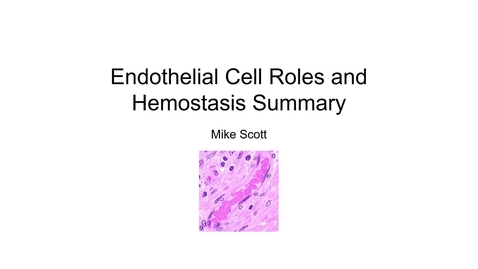 Thumbnail for entry VM 523-Endothelial Cells and Hemostasis Summary