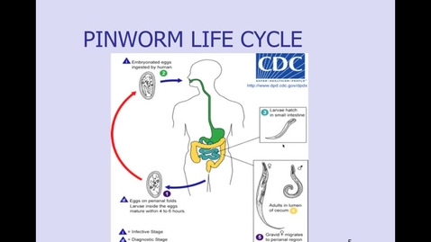 Thumbnail for entry HM-863-Module-SIX_CLINICAL-PRESENTATION-OF-DERMAL-NEMATODES-SPRING-2013