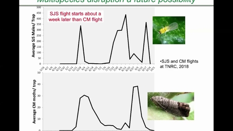 Thumbnail for entry Early season apple pests