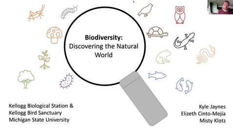 Thumbnail for entry Biodiversity: Discovering the Natural World ONLINE series - Fish