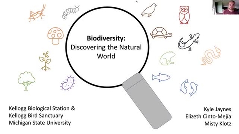 Thumbnail for Biodiversity: Discovering the Natural World ONLINE series - Fish
