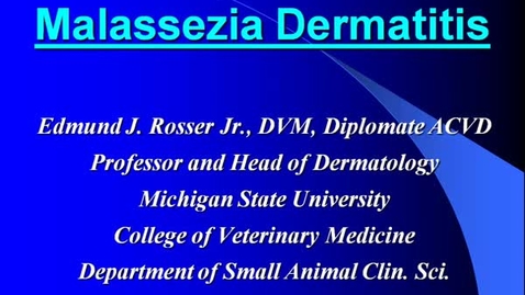 Thumbnail for entry VM_554_10202011_Malassezia_Canine_Demodicosis (Rosser)
