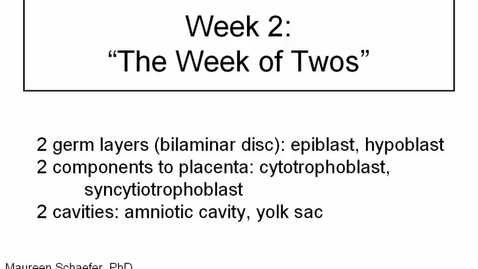 Thumbnail for ANTR510 (002) Early Embryology Week 2: The week of twos