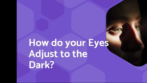 Thumbnail for Learn about Pupil Dilation!